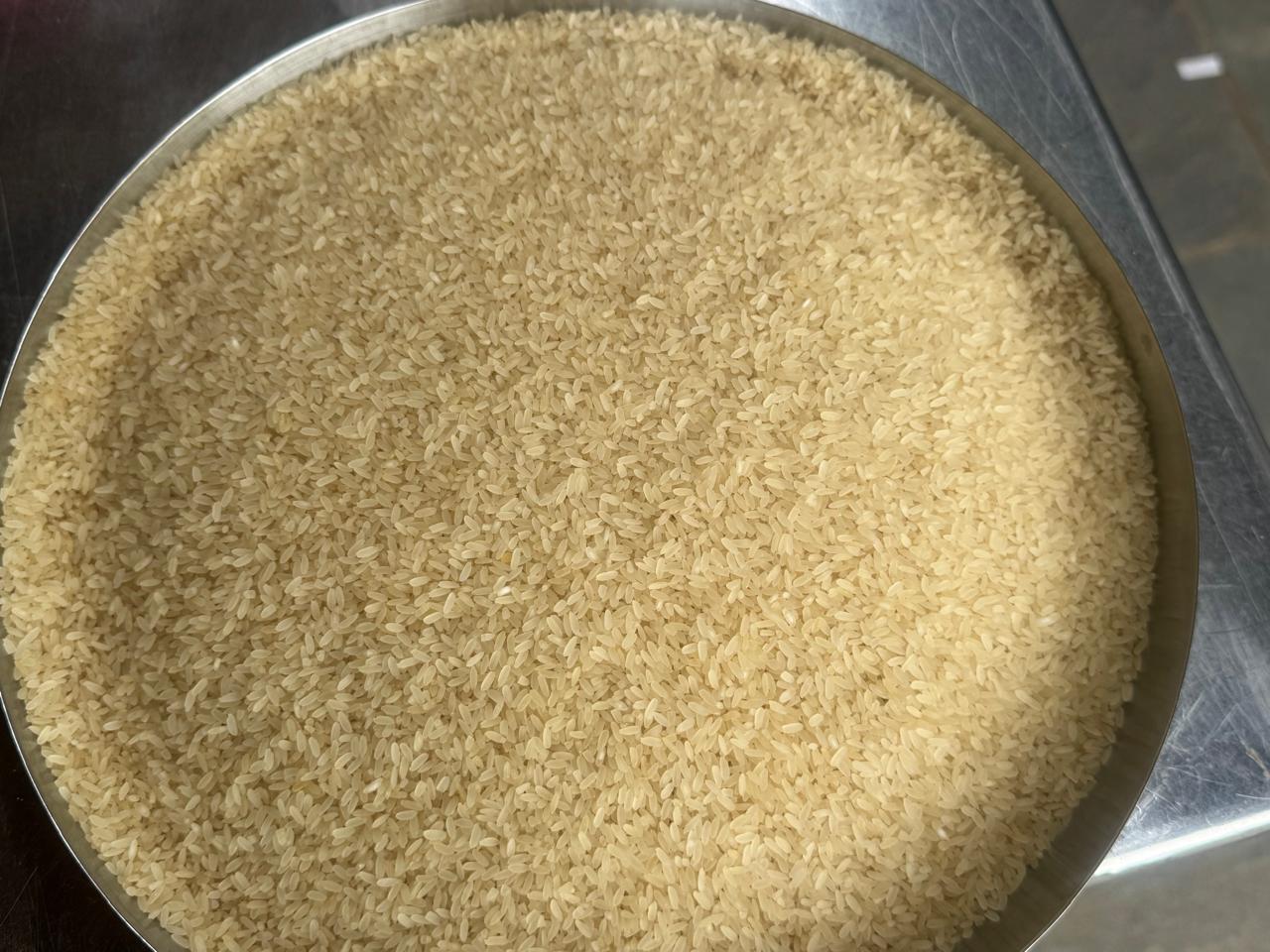 Kichadi Samba Rice