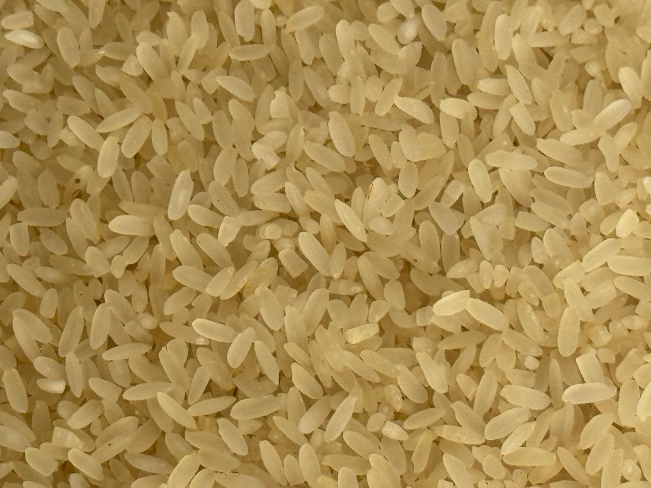 Kichadi Samba Rice