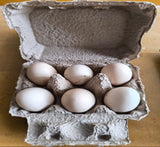 Country Chicken Eggs[Pack Of 6]